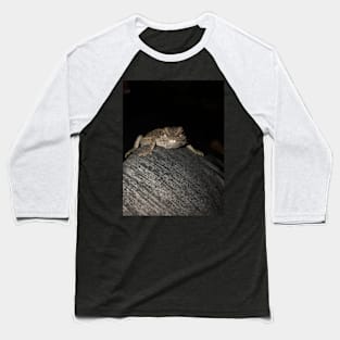 Bearded dragon 🐉 Baseball T-Shirt